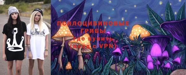 Альфа ПВП Алексин