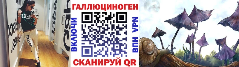 где продают наркотики  Дедовск  Псилоцибиновые грибы GOLDEN TEACHER 