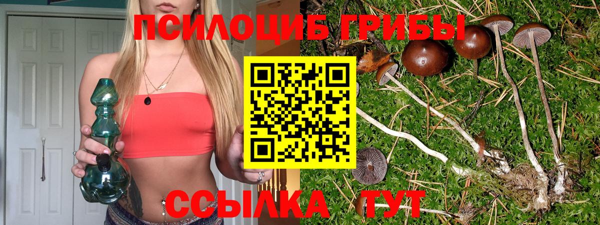 Галлюциногенные грибы прущие грибы Дедовск