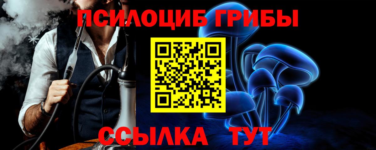 Дедовск  Галлюциногенные грибы Psilocybine cubensis  закладка  Вход с VPN 
